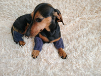 Alpaca Wool Dog Leg Warmers: Set of 4 Pet Gaiters