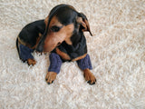 Alpaca Wool Dog Leg Warmers: Set of 4 Pet Gaiters
