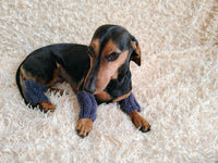 Alpaca Wool Dog Leg Warmers: Set of 4 Pet Gaiters