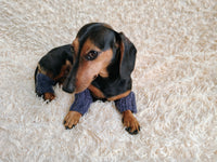 Alpaca Wool Dog Leg Warmers: Set of 4 Pet Gaiters