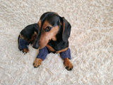 Alpaca Wool Dog Leg Warmers: Set of 4 Pet Gaiters