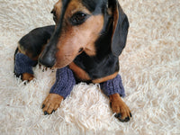 Alpaca Wool Dog Leg Warmers: Set of 4 Pet Gaiters