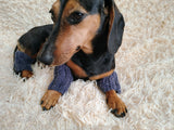 Alpaca Wool Dog Leg Warmers: Set of 4 Pet Gaiters