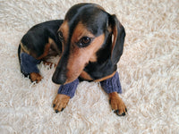 Alpaca Wool Dog Leg Warmers: Set of 4 Pet Gaiters
