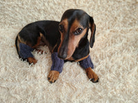 Alpaca Wool Dog Leg Warmers: Set of 4 Pet Gaiters
