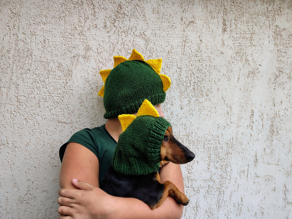 Dino Mommy and Dog Matching Hats:Halloween Pet hat Lover Set