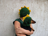 Dino Mommy and Dog Matching Hats:Halloween Pet hat Lover Set