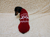 Christmas dog sweater with reindeer Norwegian pattern jumper for dachshund