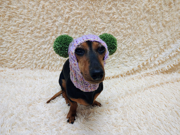 Winter wool melange aran hat for dog with two large pompoms