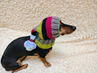 Christmas rainbow striped Santa hat for dog with pom poms