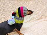 Christmas rainbow striped Santa hat for dog with pom poms
