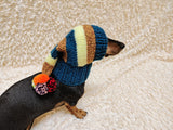 Christmas rainbow striped Santa hat for dog with pom poms