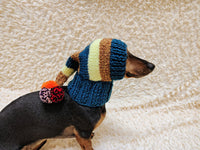 Christmas rainbow striped Santa hat for dog with pom poms