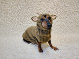 Christmas Reindeer Dog Costume Sweater and Hat Set