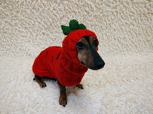 Carrot Dog Costume Sweater and Hat Set