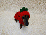 Carrot Dog Costume Sweater and Hat Set