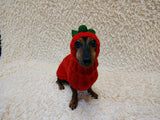 Carrot Dog Costume Sweater and Hat Set