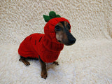Carrot Dog Costume Sweater and Hat Set