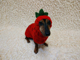 Carrot Dog Costume Sweater and Hat Set