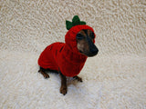Carrot Dog Costume Sweater and Hat Set