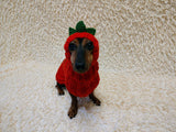 Carrot Dog Costume Sweater and Hat Set
