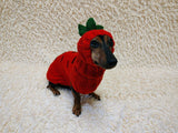 Carrot Dog Costume Sweater and Hat Set