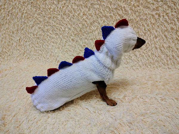 Patriotic Dinosaur Outfit Sweater and Hat Set for Dogs