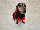 Black dog sweater with red stripes and a bow