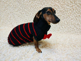 Black dog sweater with red stripes and a bow