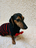 Black dog sweater with red stripes and a bow