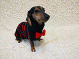 Black dog sweater with red stripes and a bow
