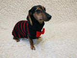 Black dog sweater with red stripes and a bow