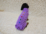 3 color Dog sweater with aran bow and wooden buttons, dachshund clothing outfit