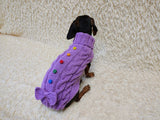 3 color Dog sweater with aran bow and wooden buttons, dachshund clothing outfit