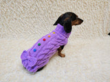 3 color Dog sweater with aran bow and wooden buttons, dachshund clothing outfit
