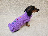 3 color Dog sweater with aran bow and wooden buttons, dachshund clothing outfit