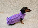 3 color Dog sweater with aran bow and wooden buttons, dachshund clothing outfit