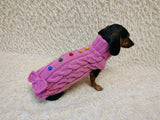 3 color Dog sweater with aran bow and wooden buttons, dachshund clothing outfit