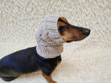 Warm winter dog hat with arans, hat for dachshund