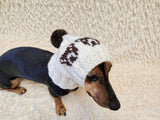 Hat with bears for dog-Warm Winter Dog Hat