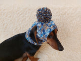 Rainbow snood hat for dogs, rainbow hat for dachshunds with open ears