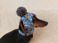 Rainbow snood hat for dogs, rainbow hat for dachshunds with open ears