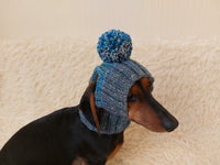 Pet clothes hat with open ears,gift for dog