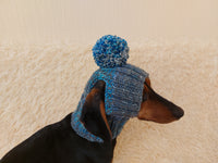 Pet clothes hat with open ears,gift for dog