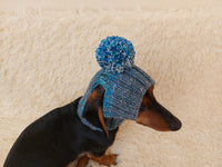 Pet clothes hat with open ears,gift for dog