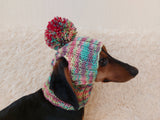 Pet clothes hat with open ears,gift for dog