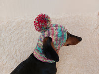 Pet clothes hat with open ears,gift for dog