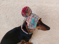 Pet clothes hat with open ears,gift for dog