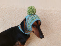 Pet clothes hat with open ears,gift for dog