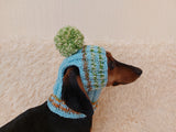 Pet clothes hat with open ears,gift for dog